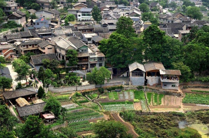 荆棘王座